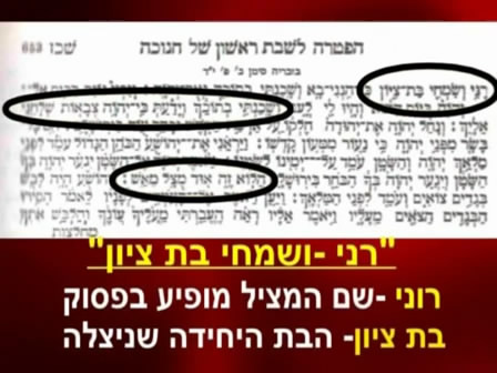 ההפטרה נבואה2